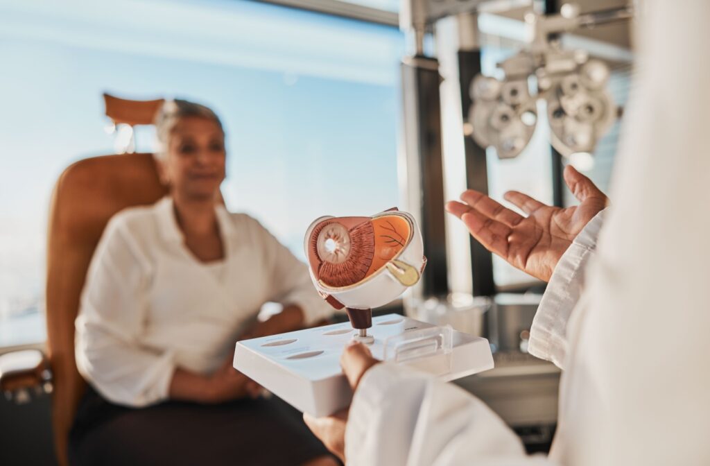 An eye doctor explains how glaucoma damages the optic nerve using an anatomical model of the human eye.